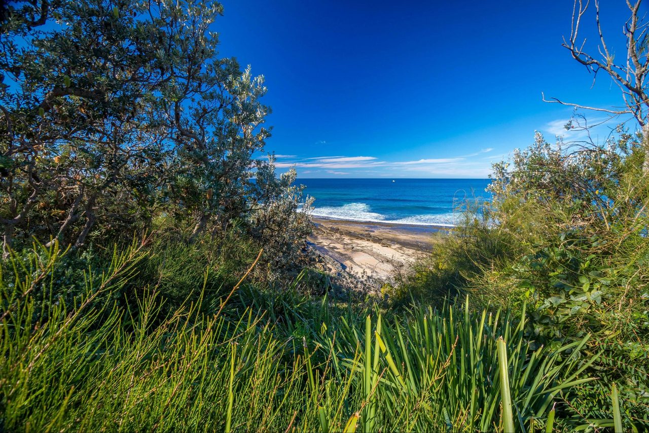 Dolphin Point