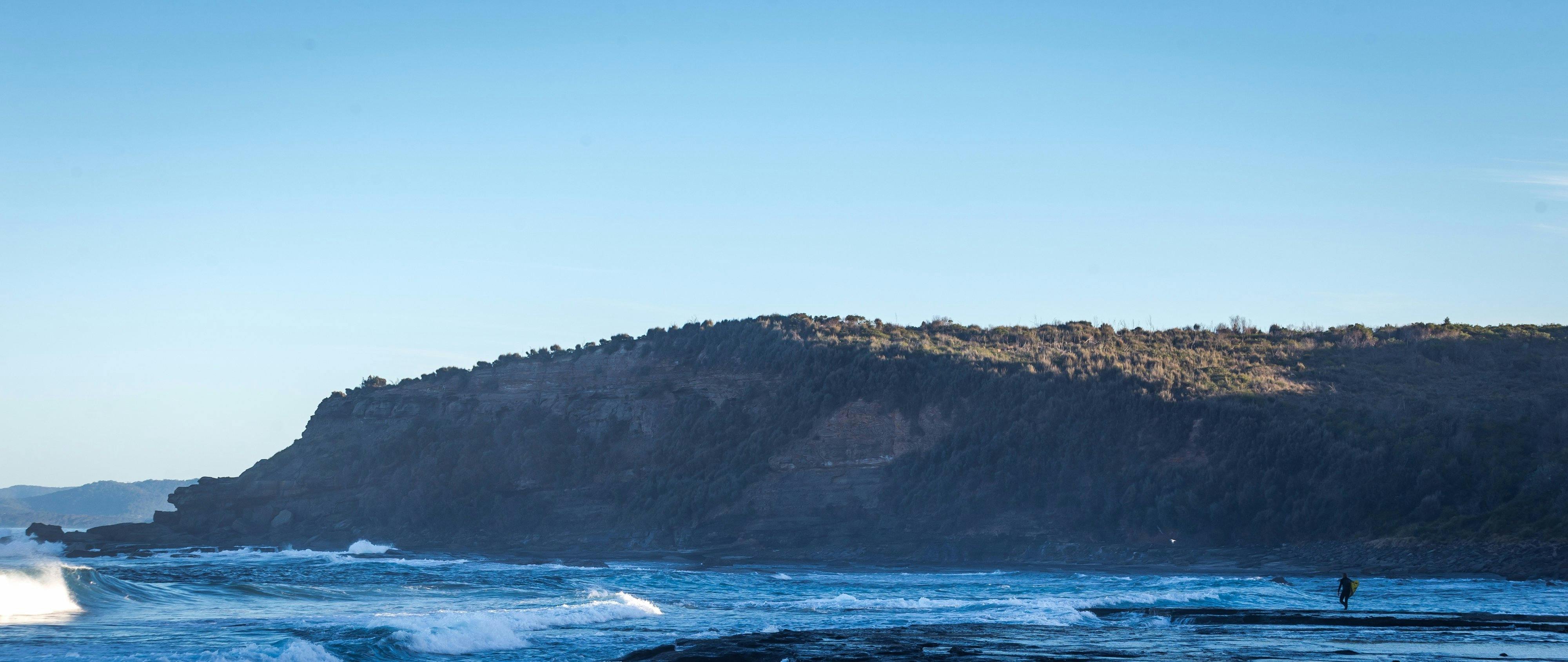 Dolphin Point Surfer
