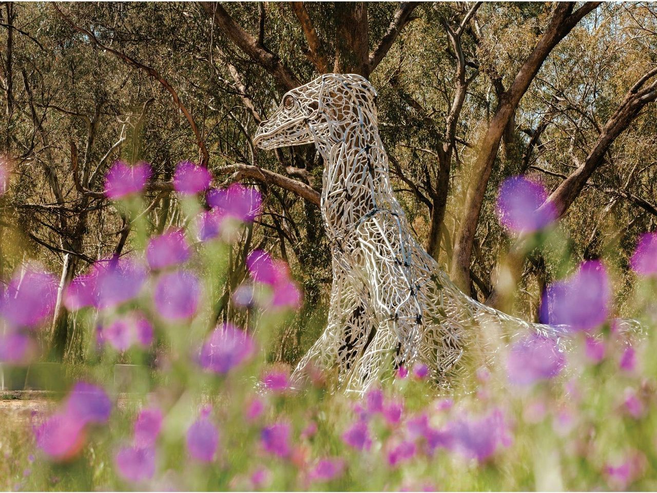 Goanna Sculpture Down the Lachlan