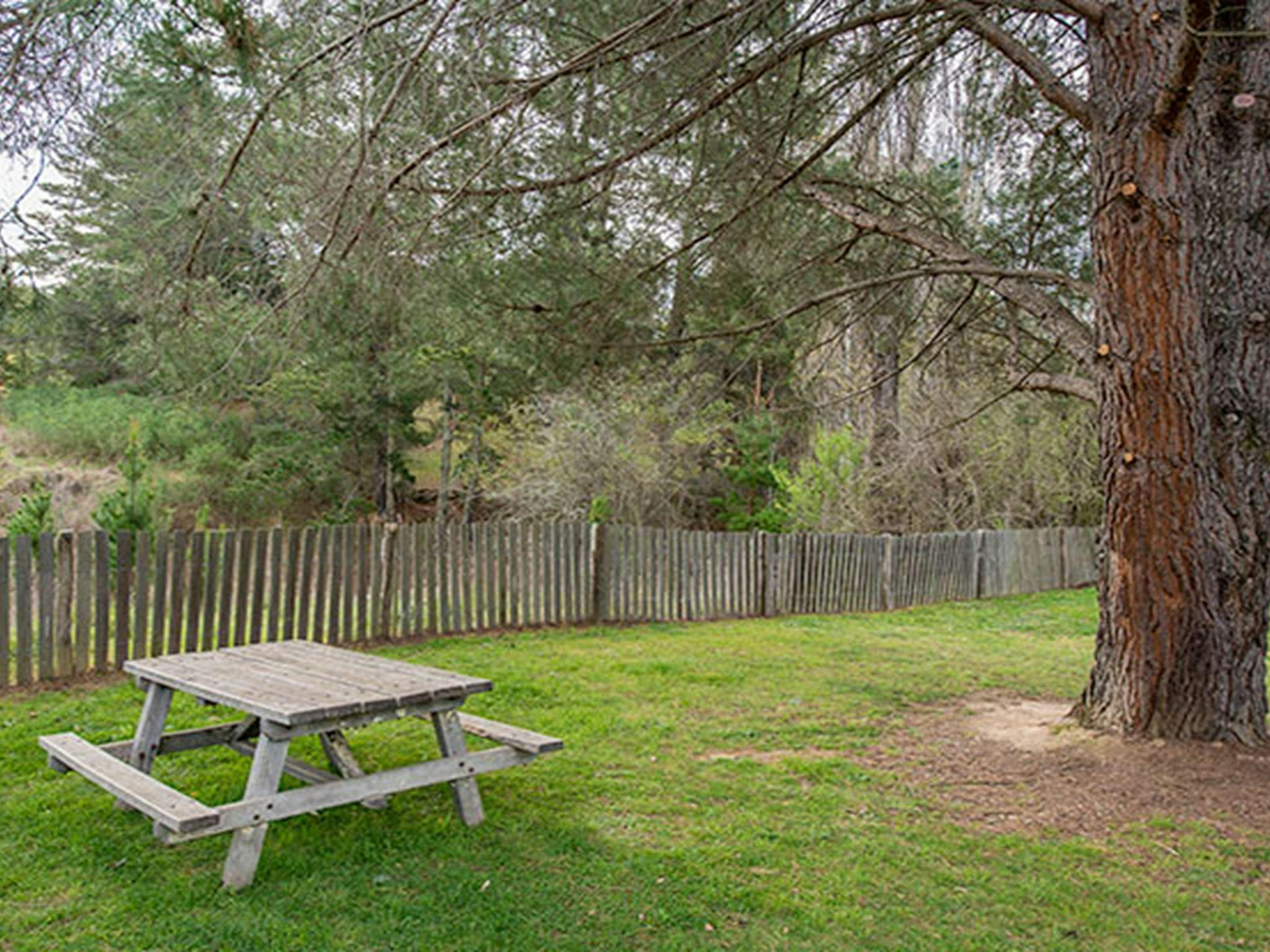 Bill Lyles Reserve picnic area, Hill End Historic Site. Photo: John Spencer