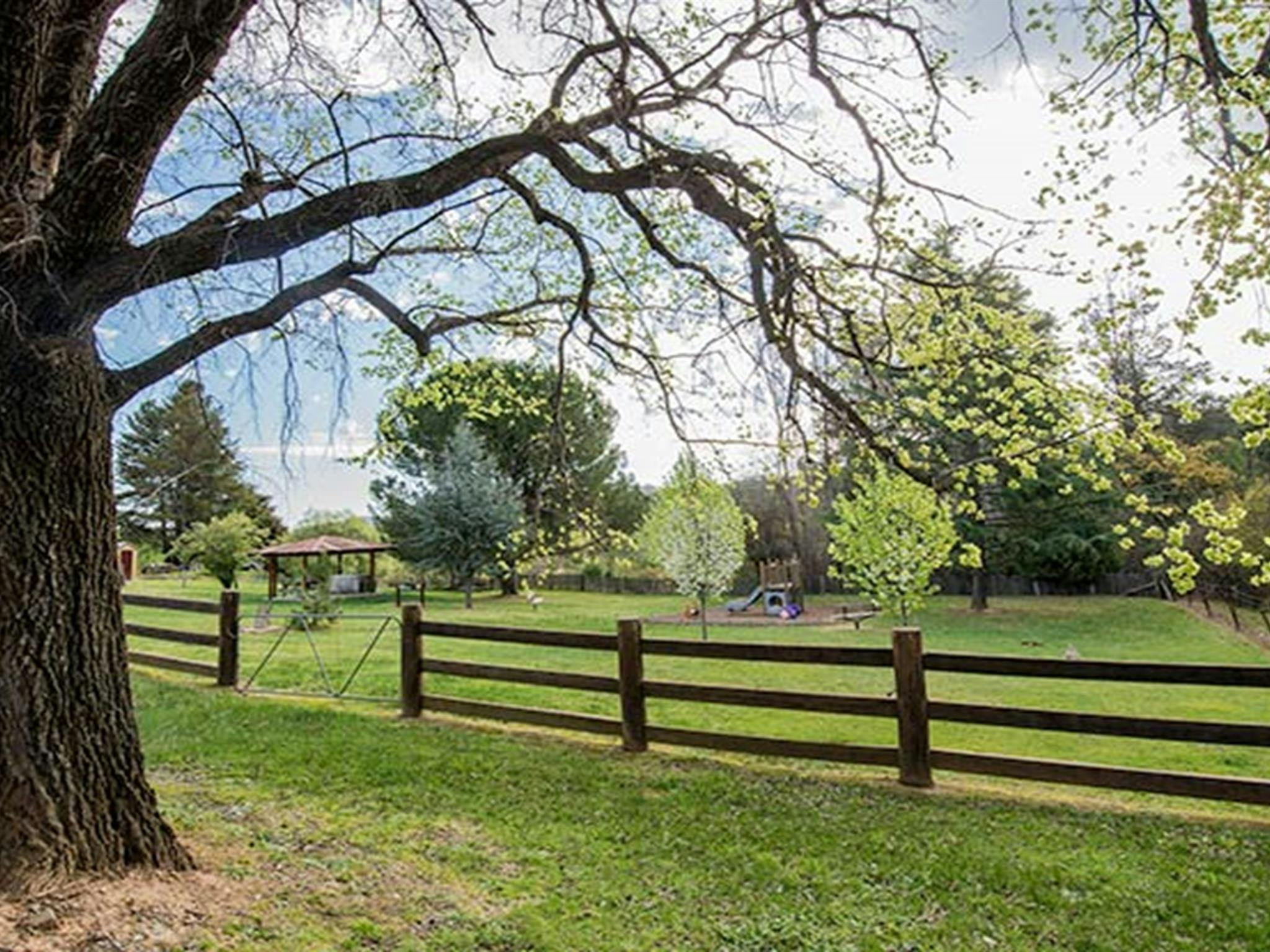 Bill Lyles Reserve picnic area, Hill End Historic Site. Photo: John Spencer