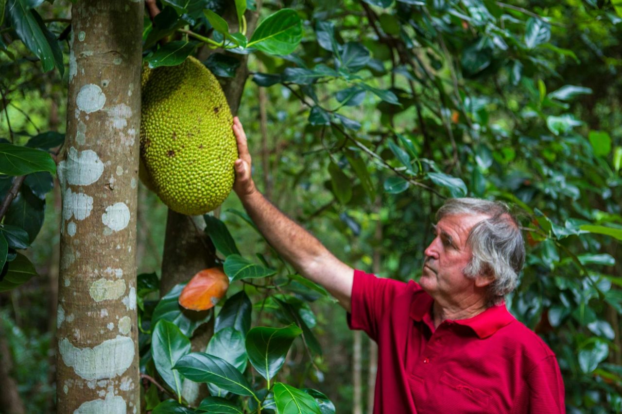 Buck from Bucks Farm with Jackfruit