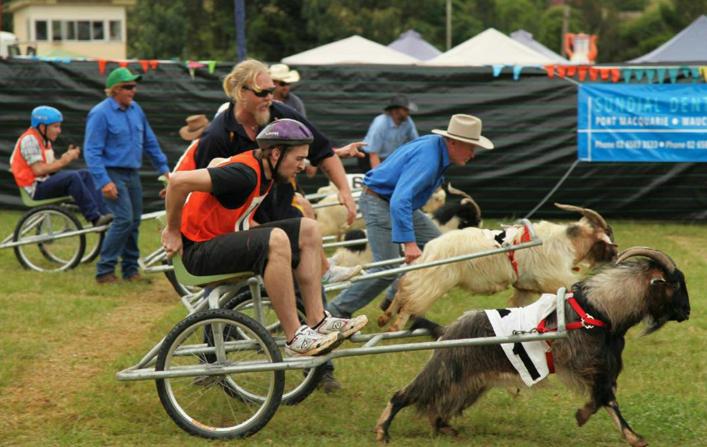 Comboyne Show Mountain Goat Races