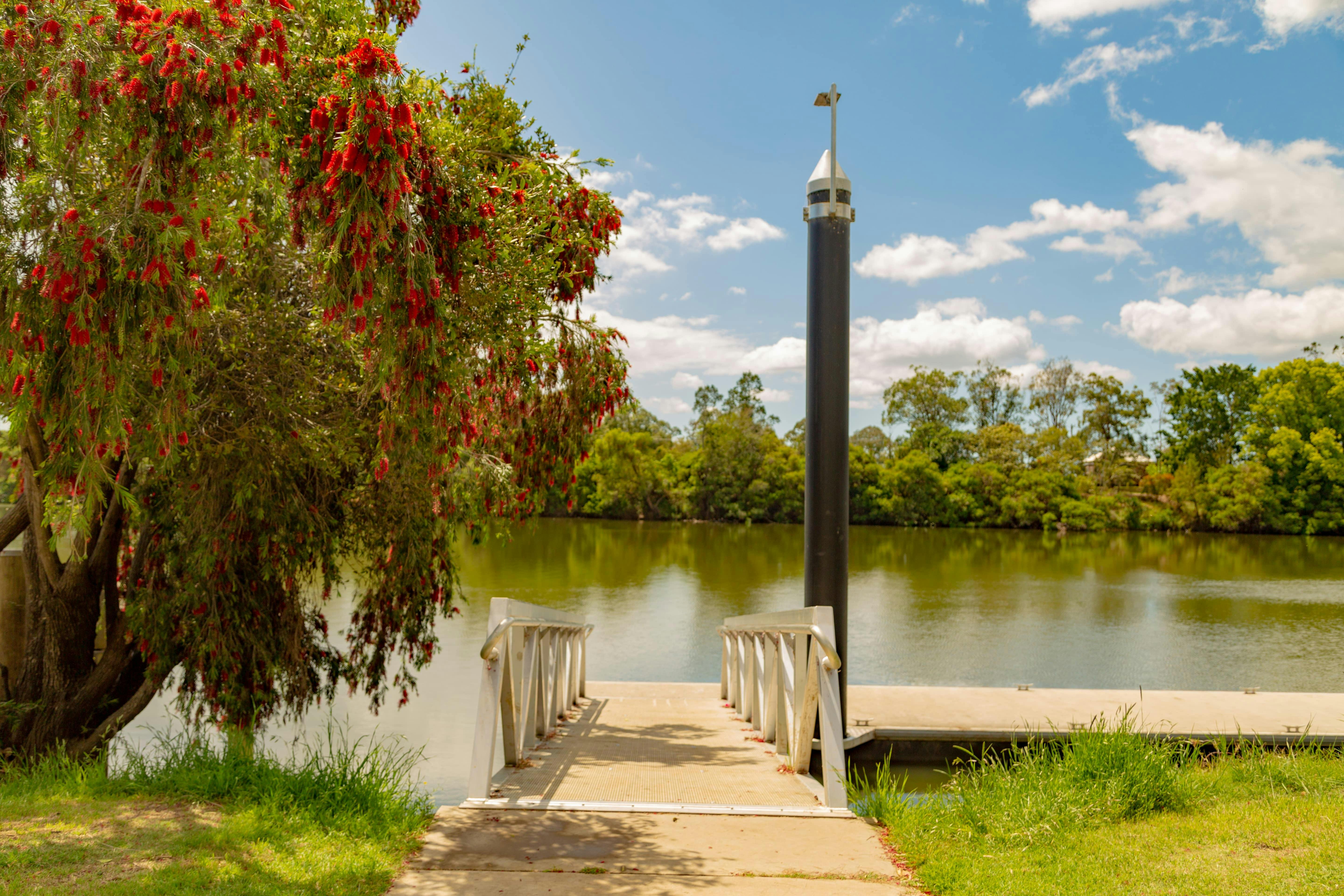 The jetty at coraki, there is a tree flowering to the left
