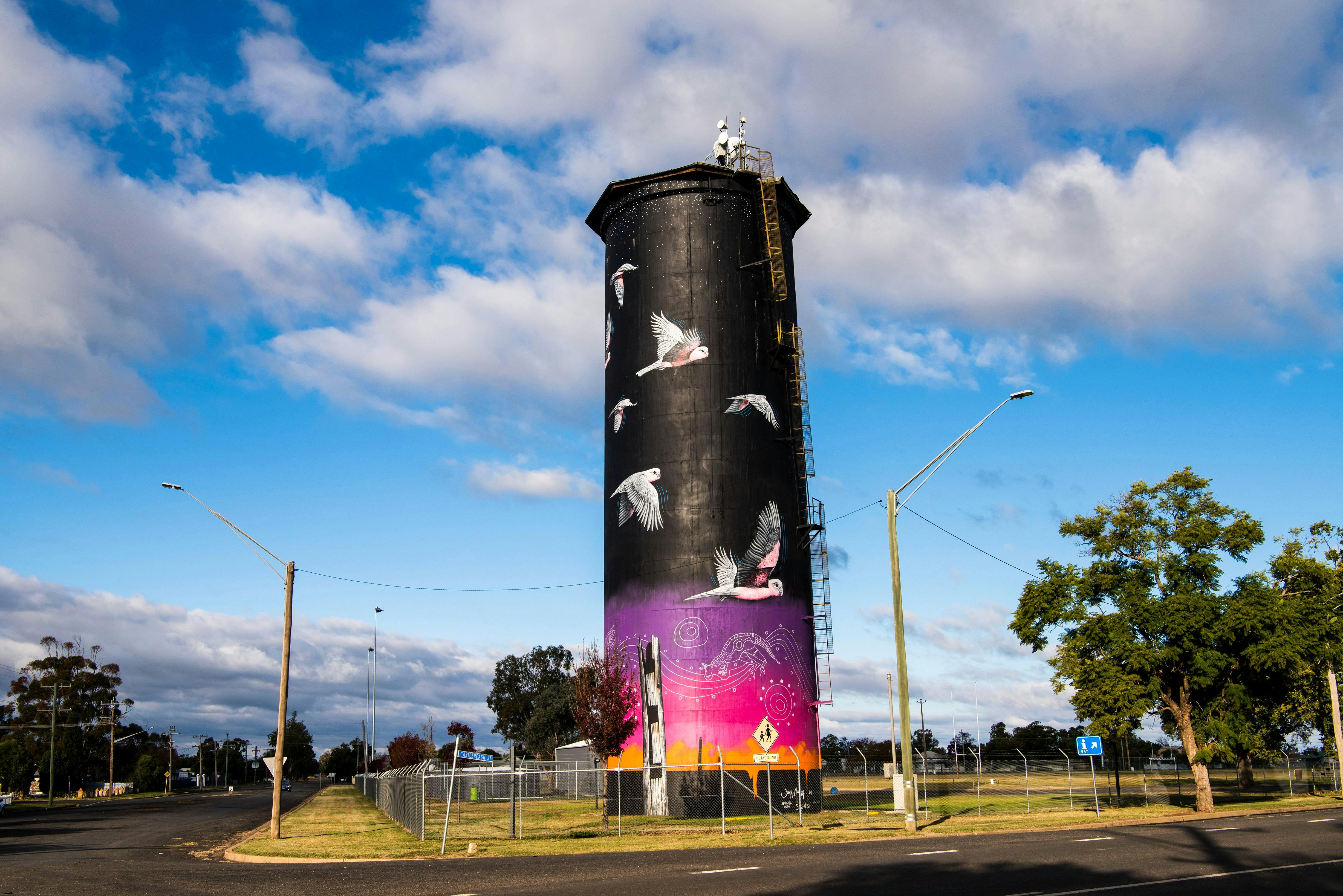 Coonamble water tower