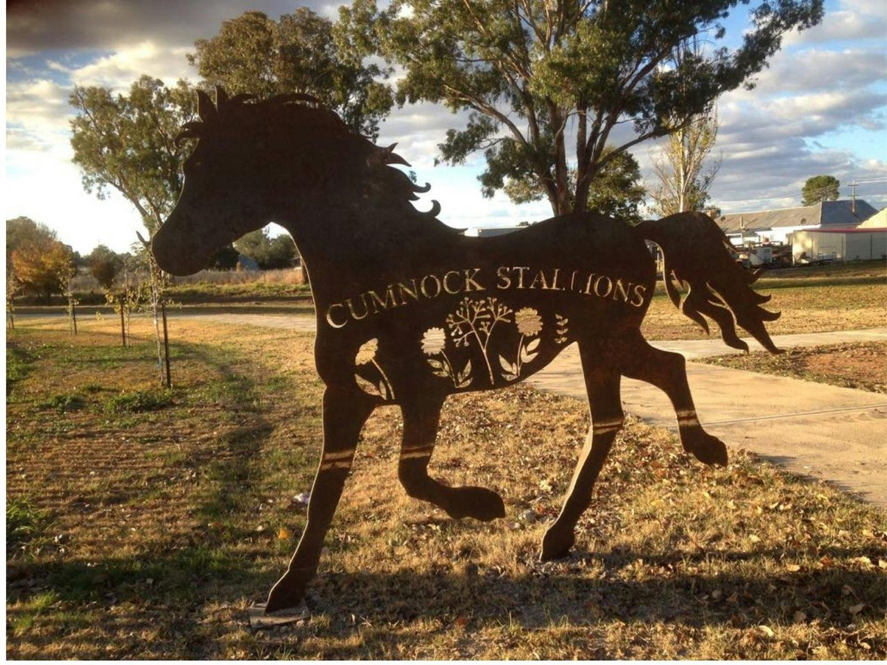 Cumnock Stallions