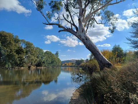 Jugiong