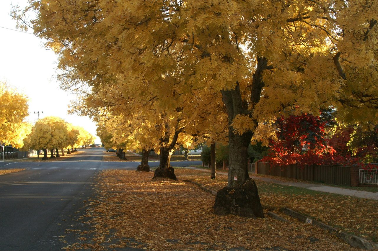 Crookwell