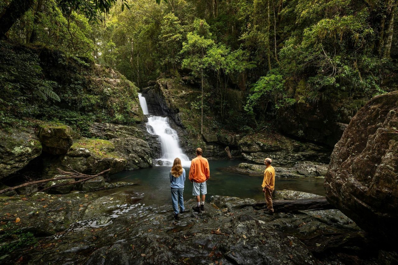 Coachwood falls