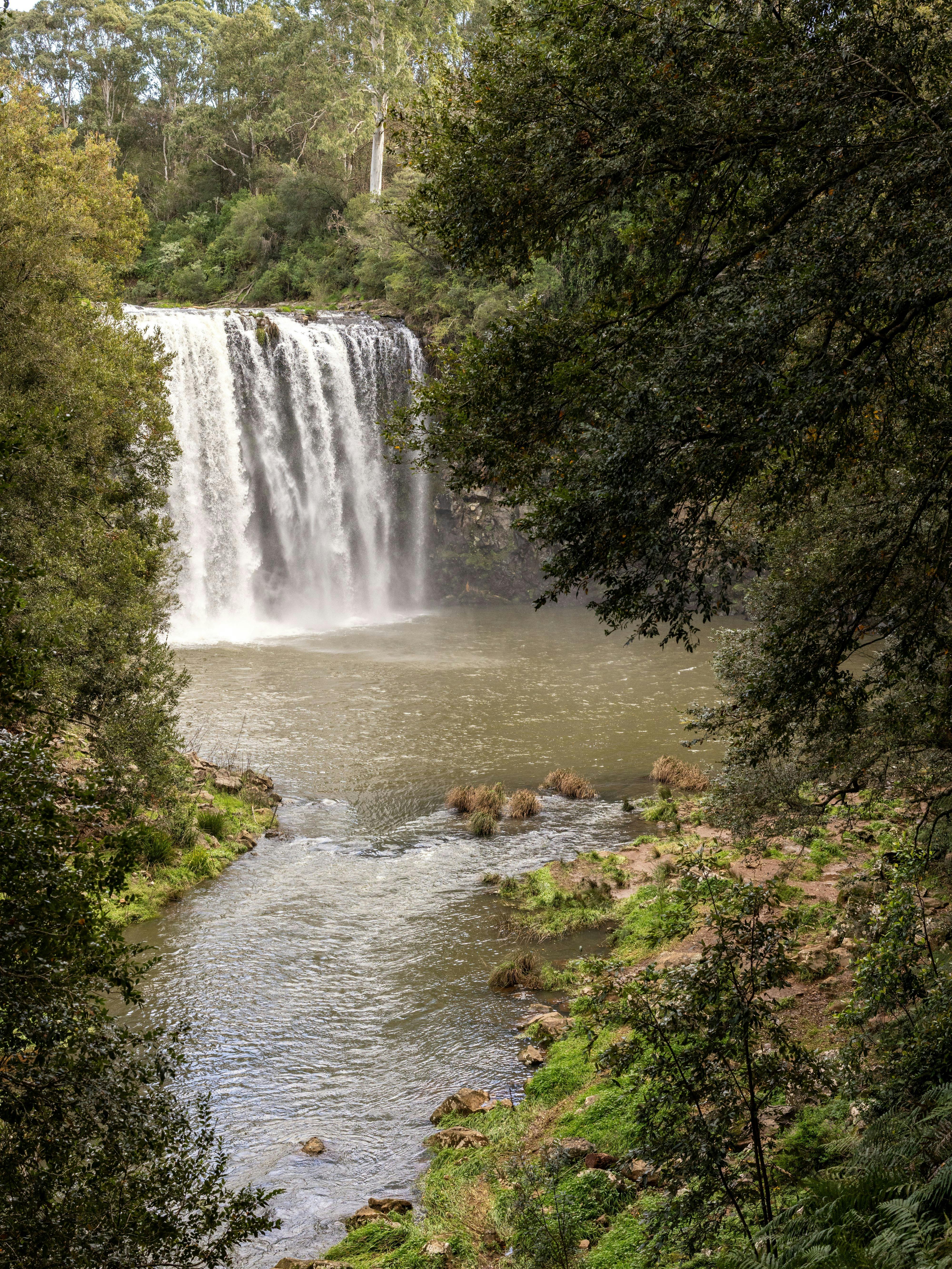 Dangar Falls