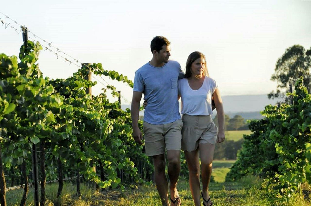 A walk amongst the vine
