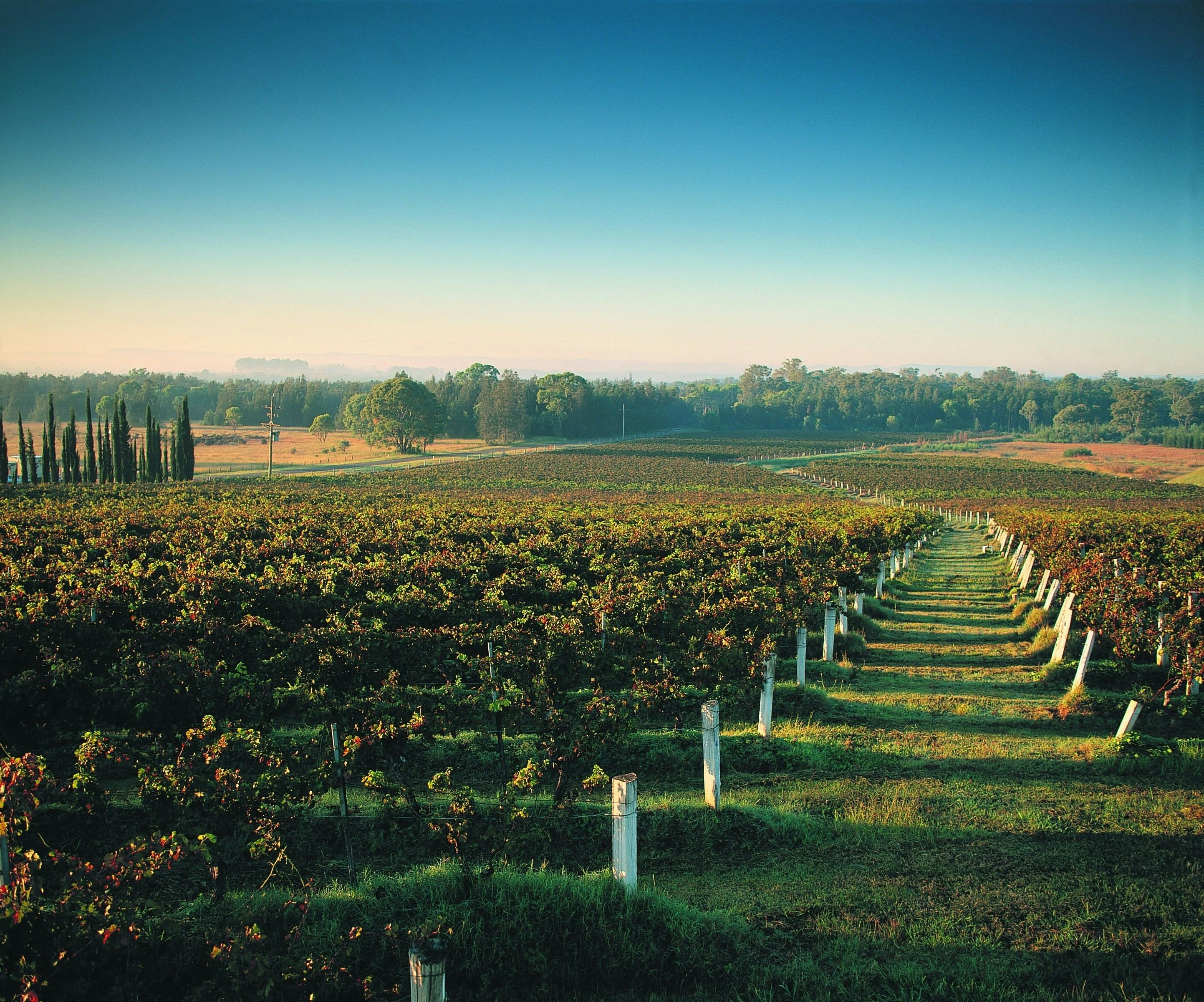 Lovedale, Hunter Valley