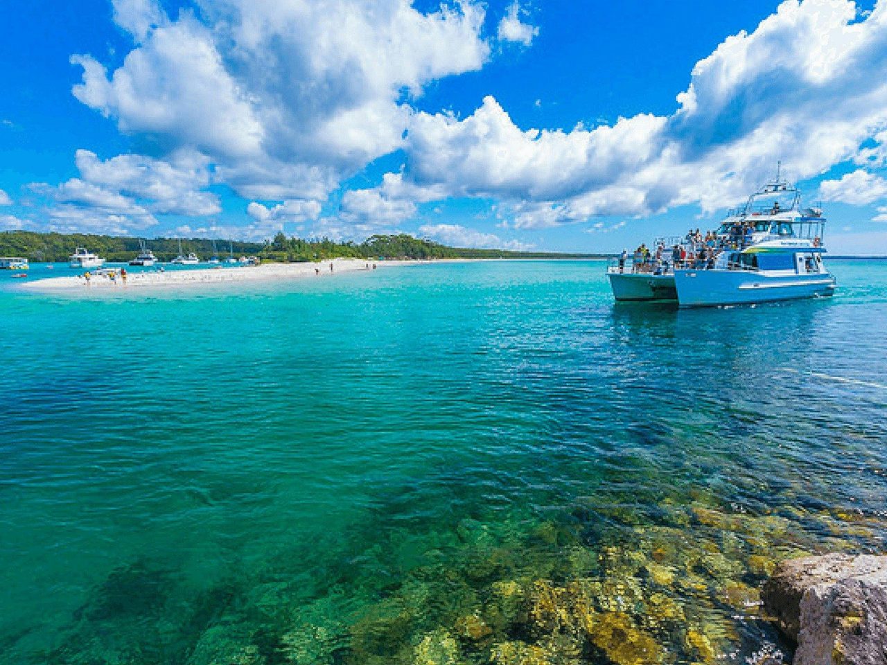 Bay cruises and seasonal whale watching trips depart Huskisson Wharf.