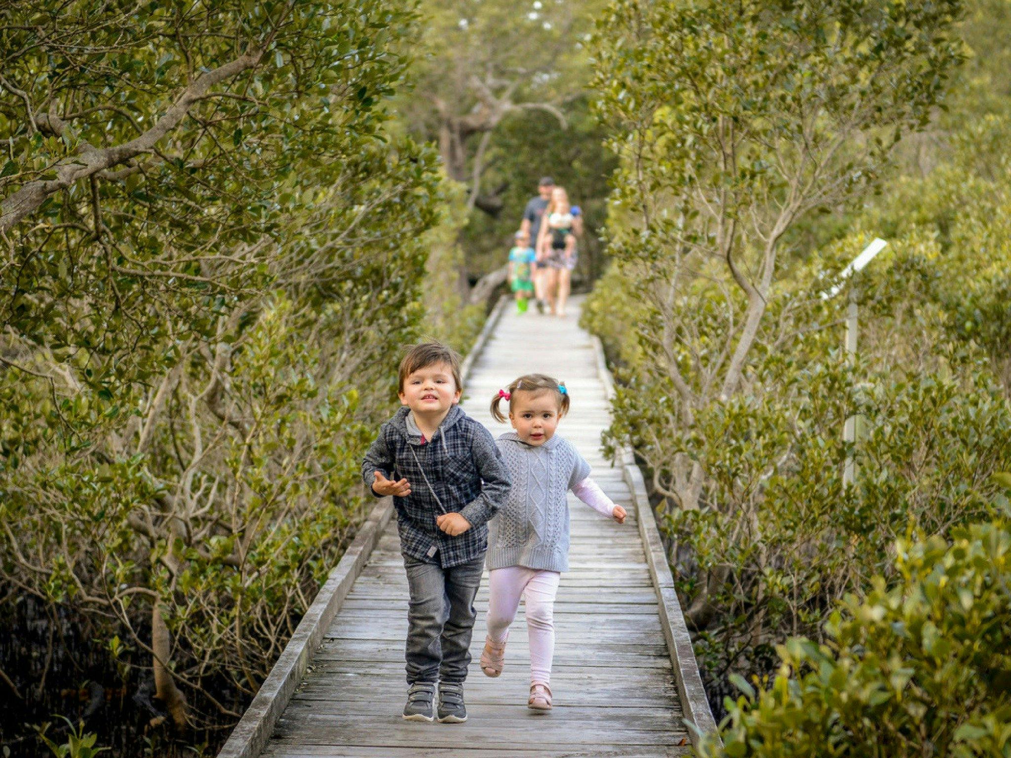 Mangrove Boardwalk