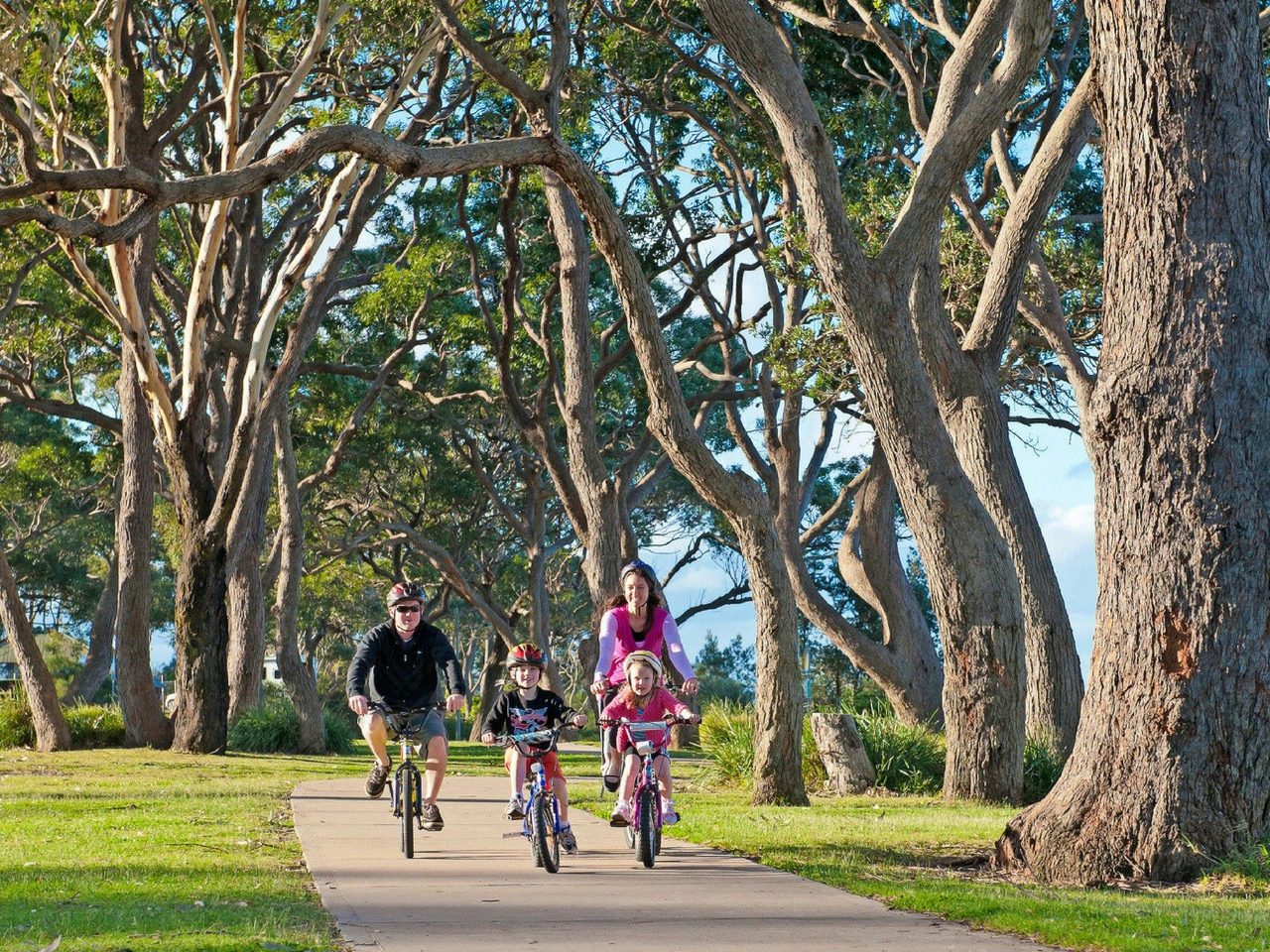 Round the Bay Track