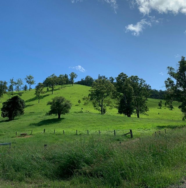Macleay Valley Hinterland