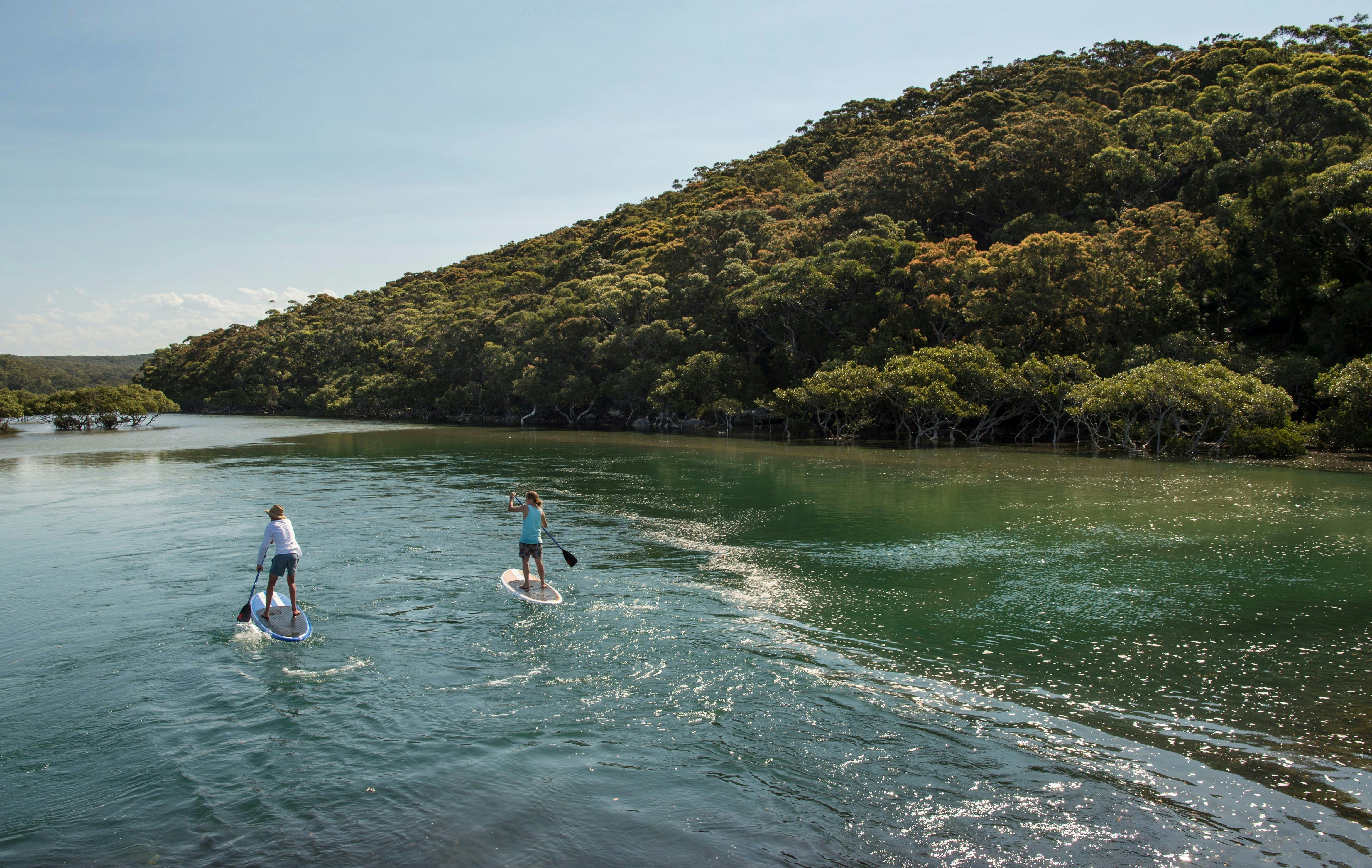 Explore the area on a stand up paddle board