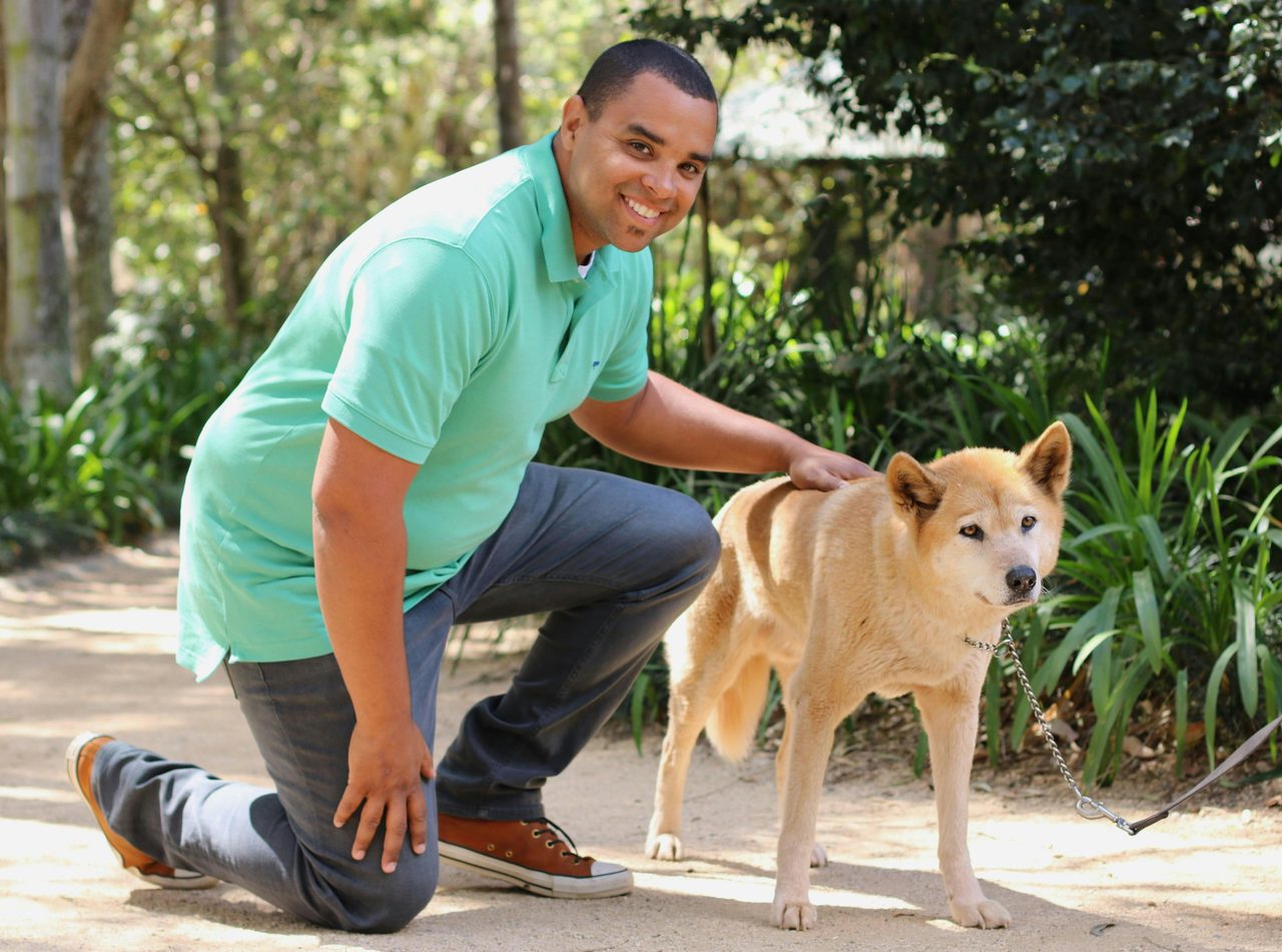 Dingo Presentation