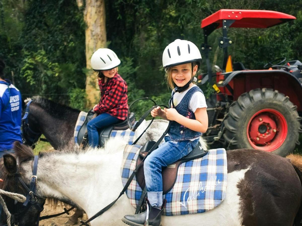 Horse Riding at Falls Creek