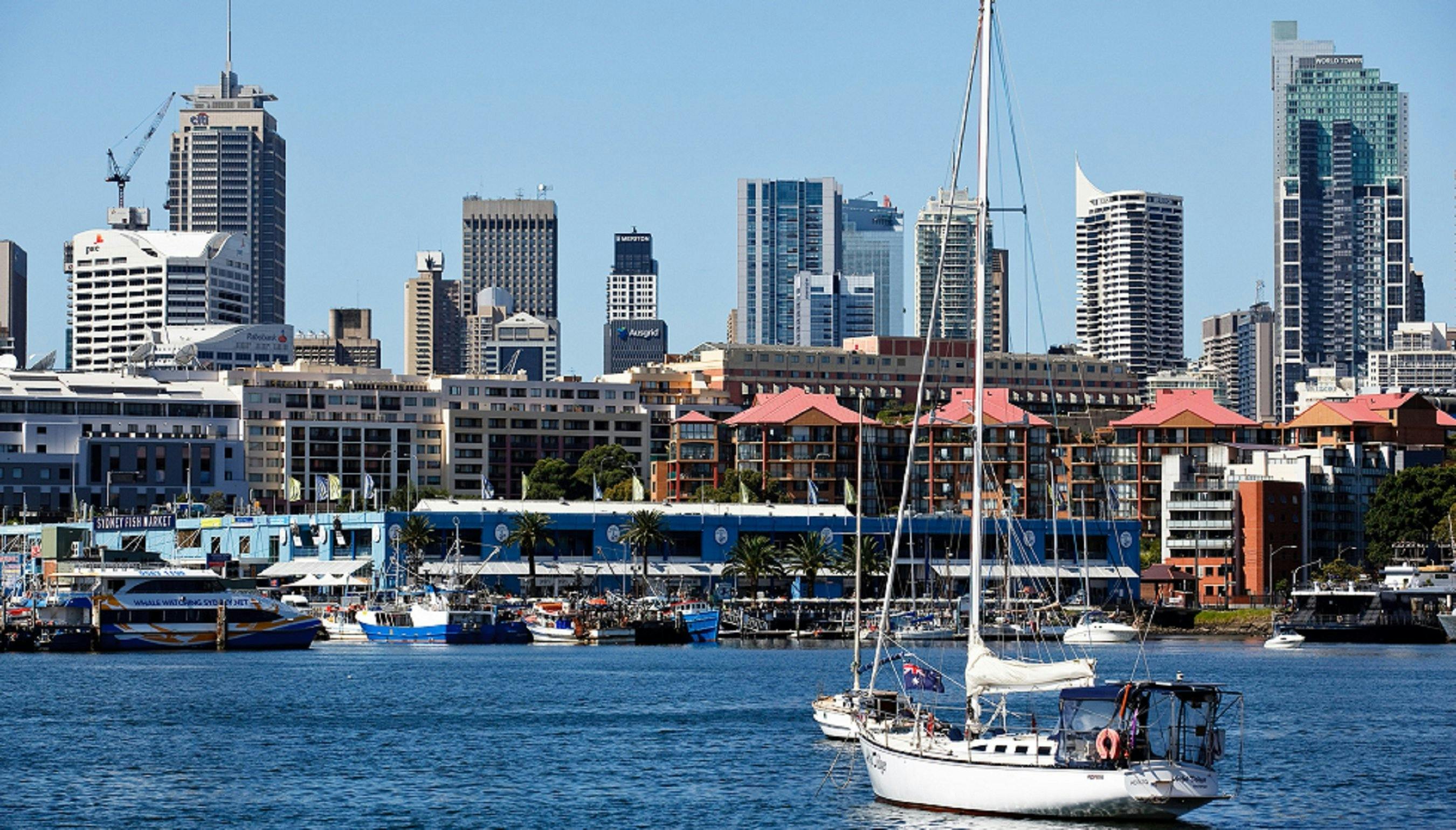 Views across Blackwattle Bay to the Sydney Fish Market.