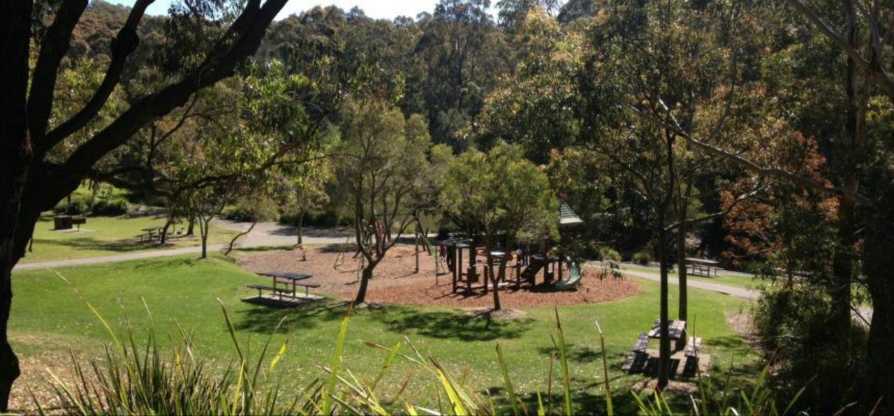 Kotara