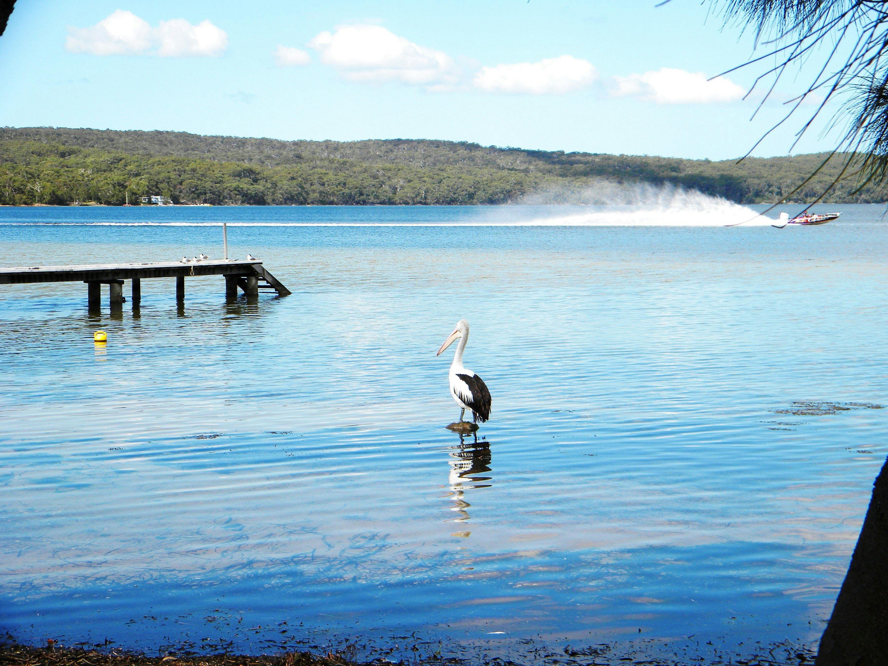 Erowal Bay, Shoalhaven area, South Coast, NSW