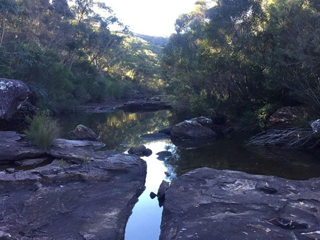 Battery Causeway Picnic Area