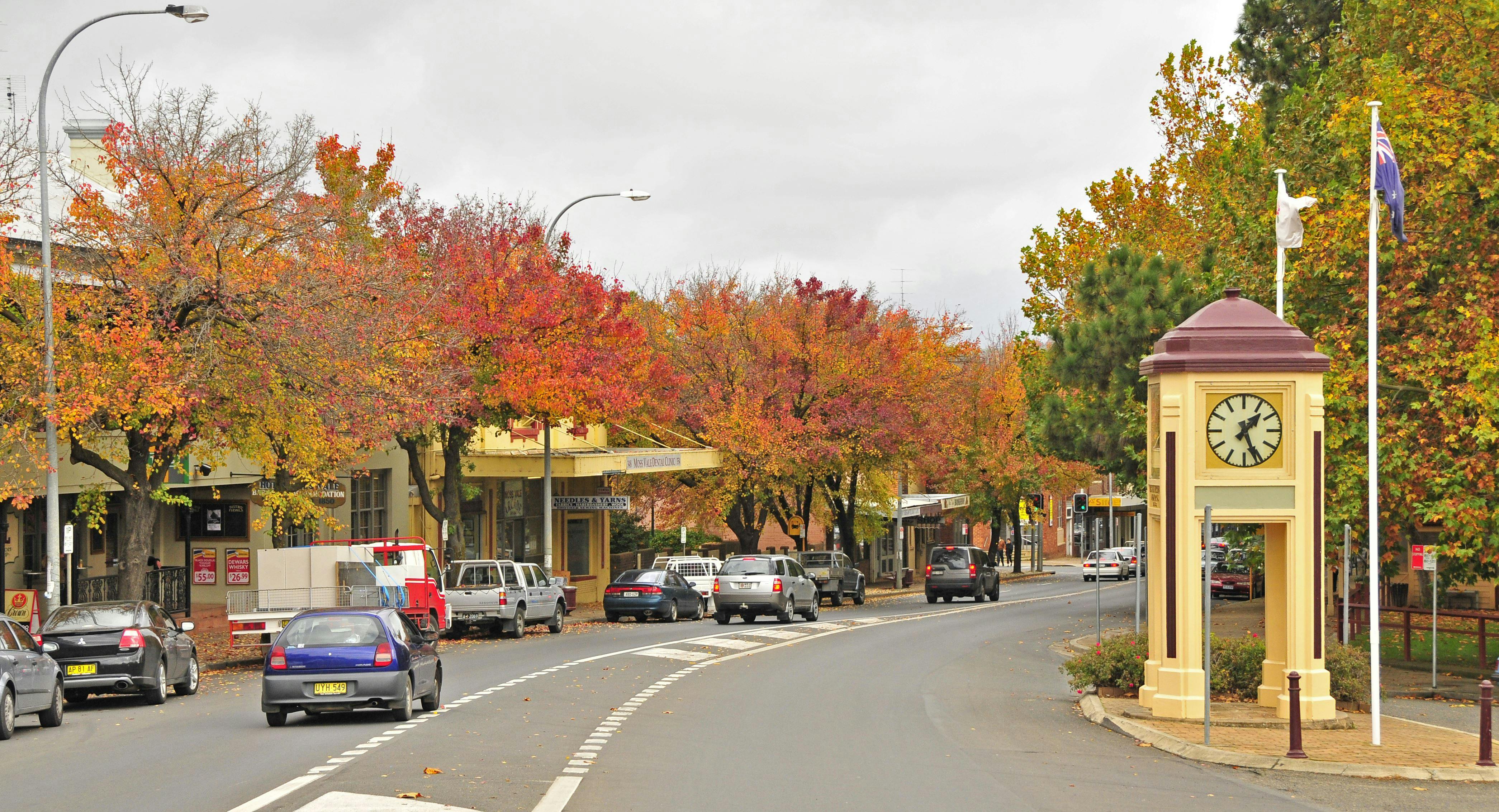 Main Street, Moss Vale