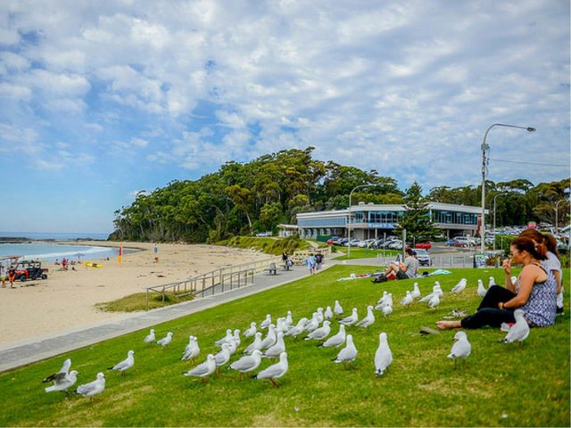 Mollymook