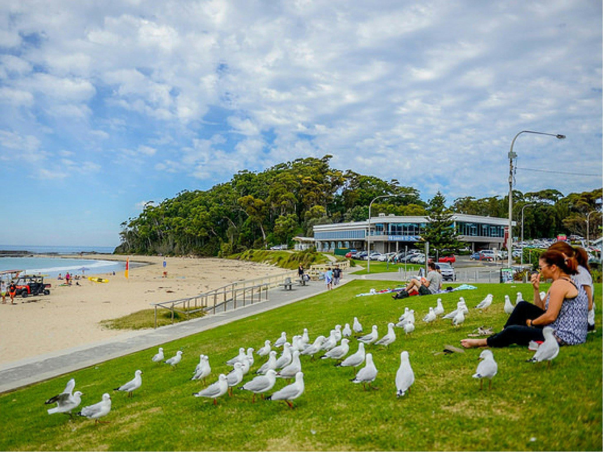 Mollymook foreshore.