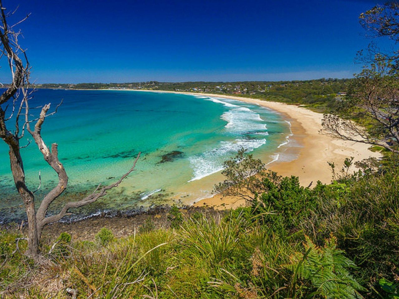 Mollymook Beach.