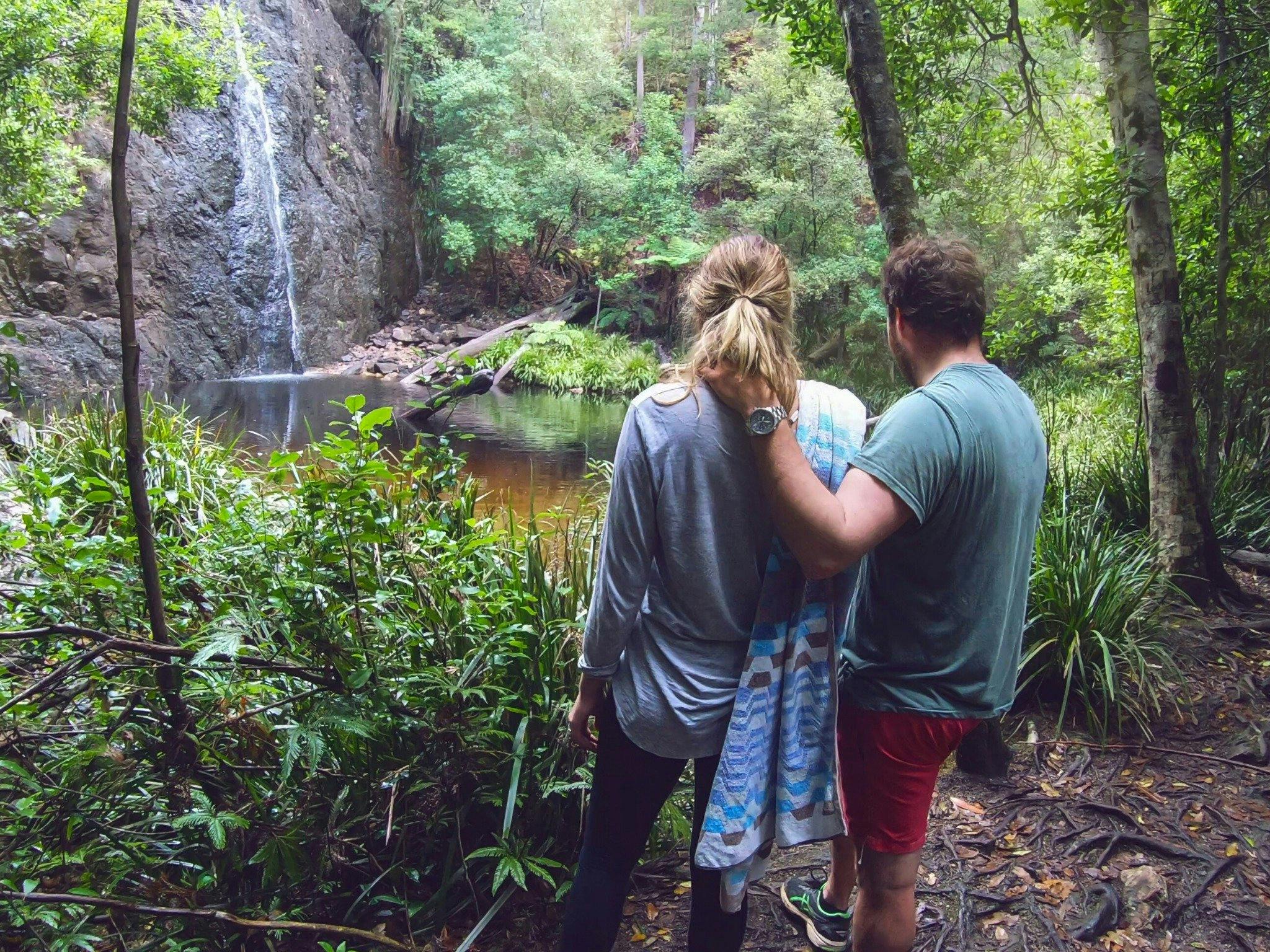 Boundary Falls, Gibraltar Range National Park