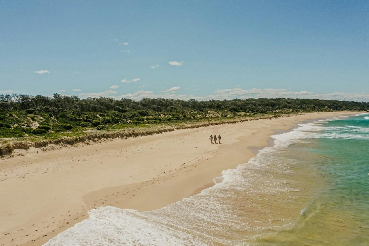 Bingie