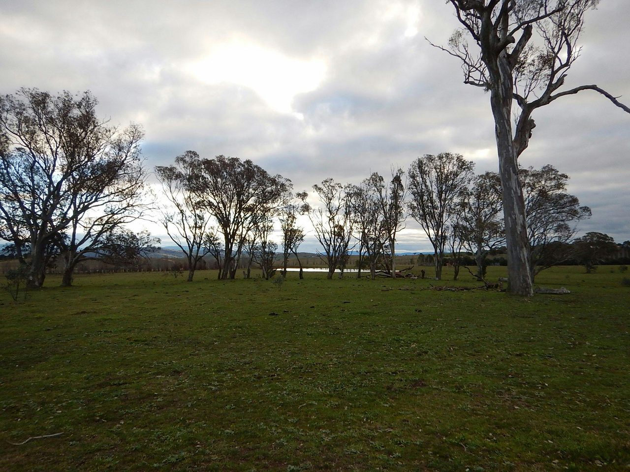 Murrumbateman