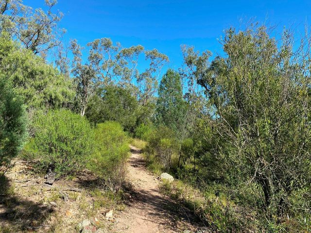 Bindea Walking Track