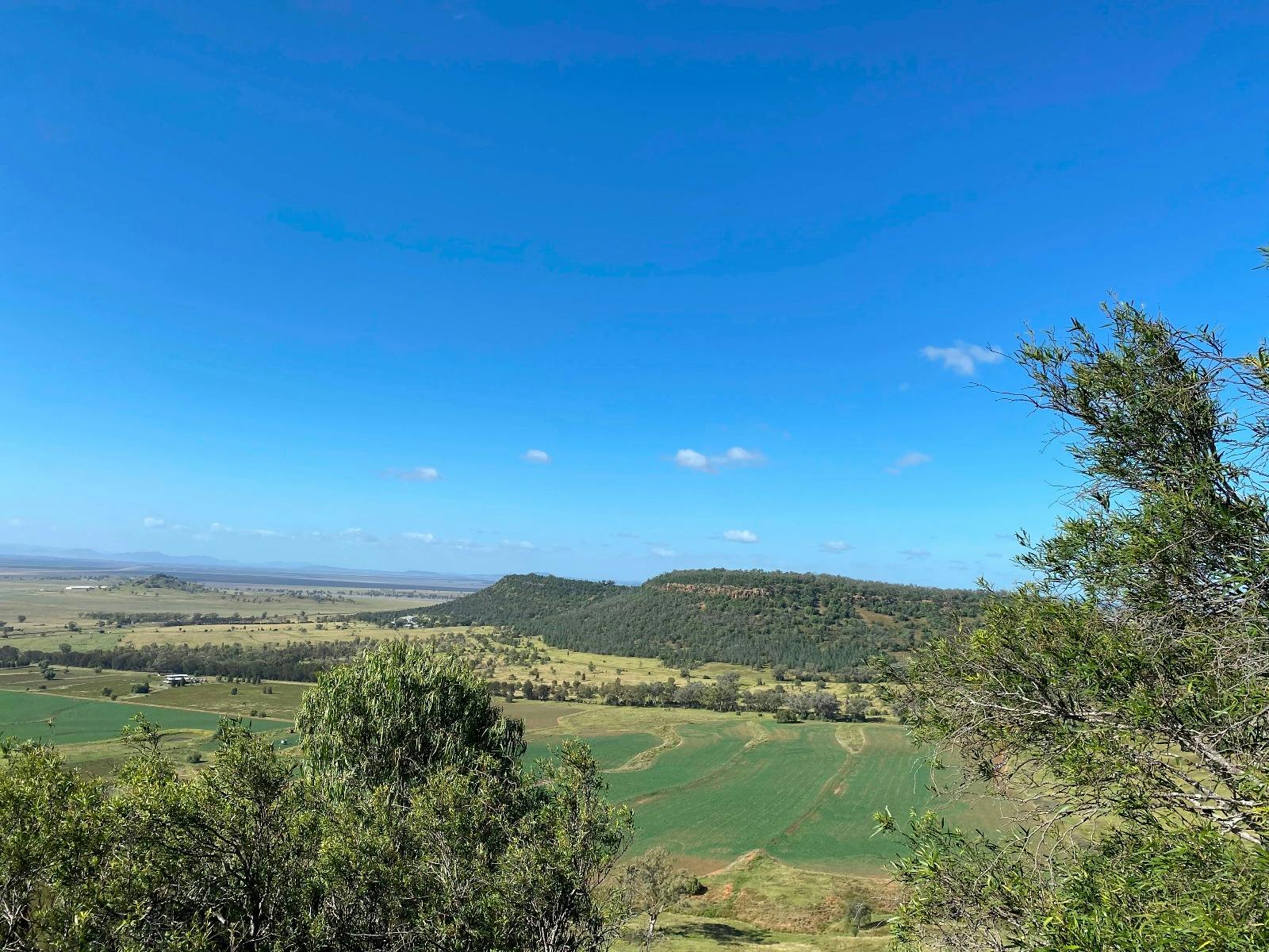 Bindea walking track view
