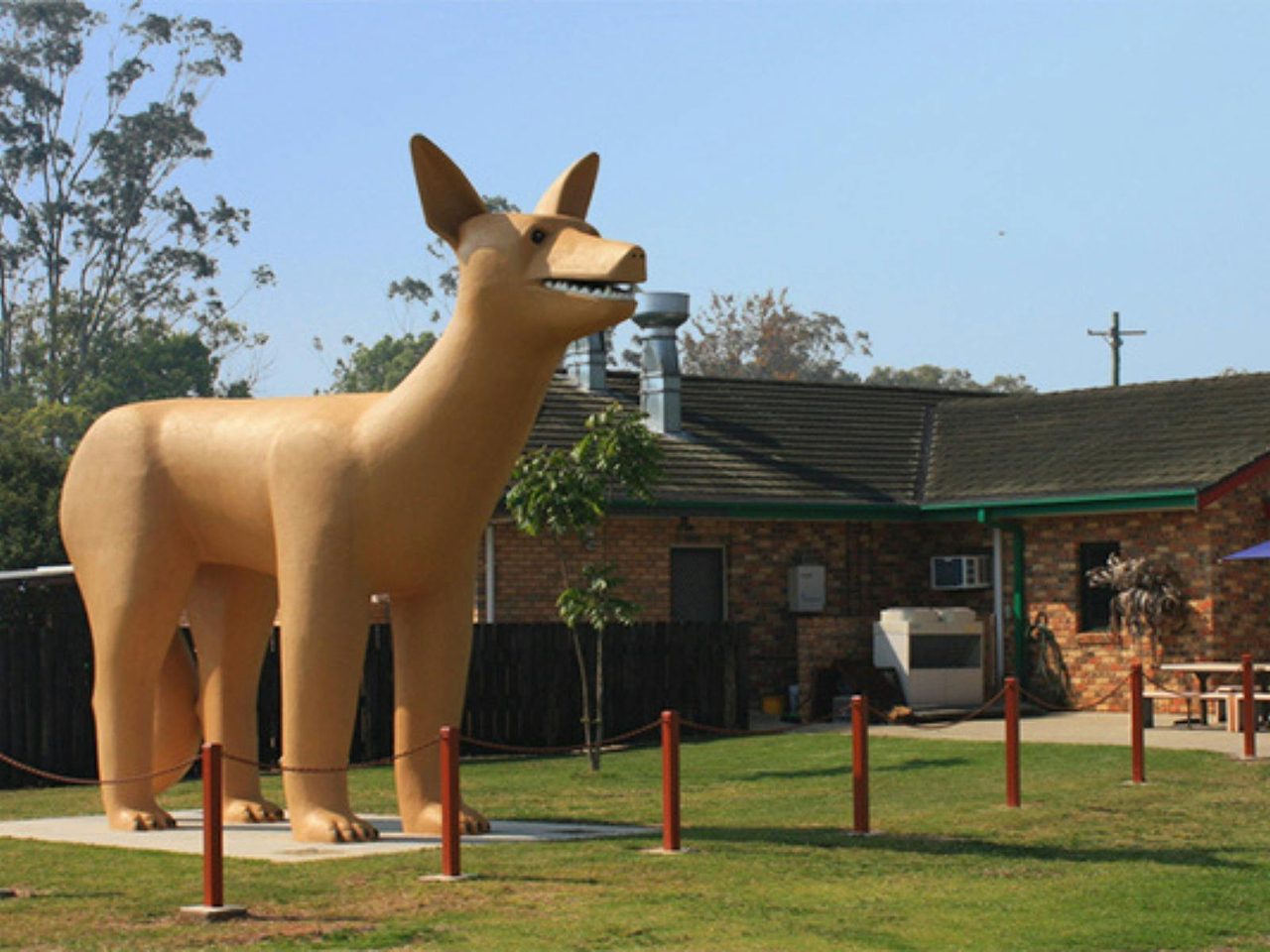 The Golden Dog in Glenreagh Village