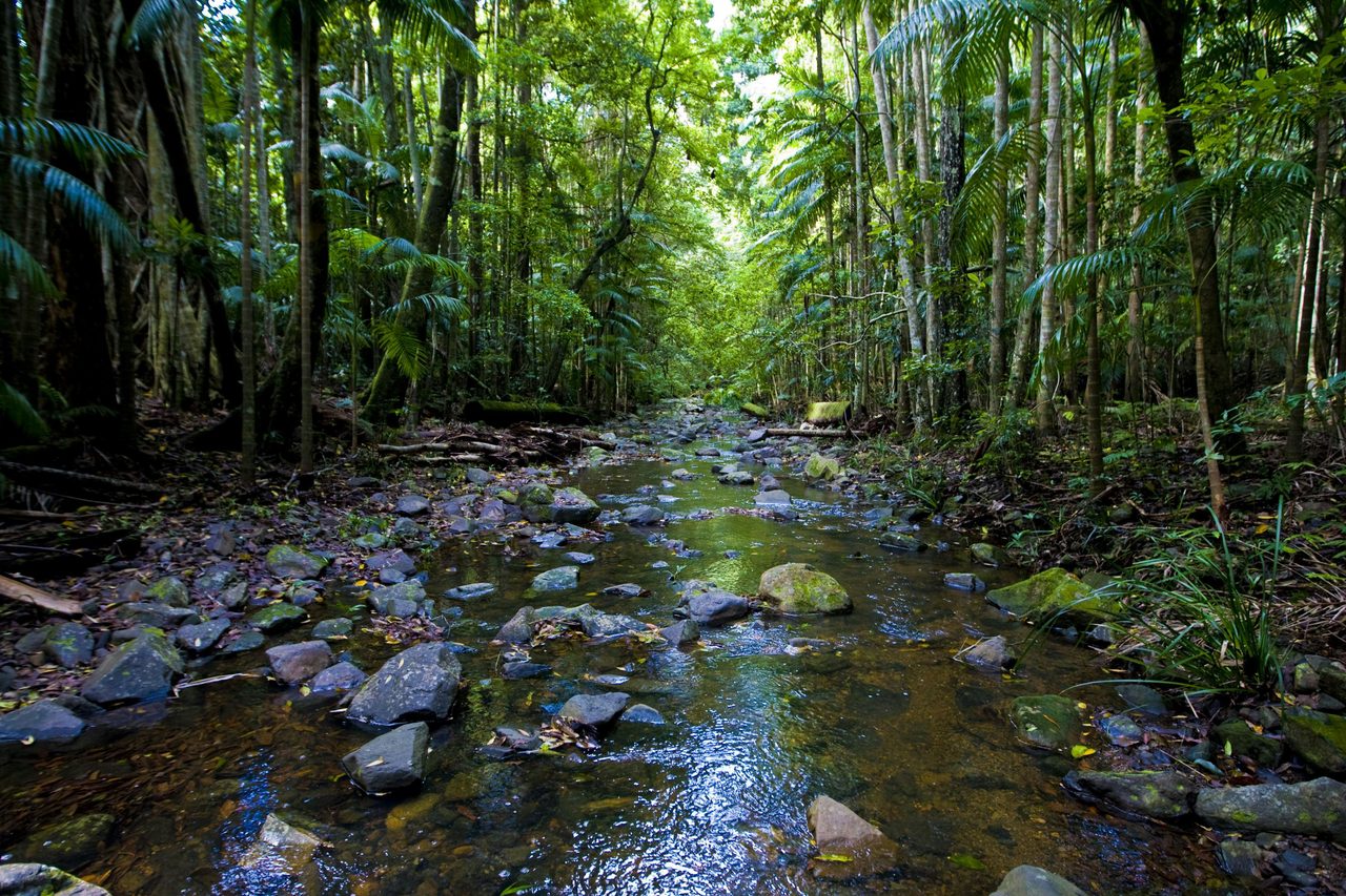 Yarriabini National Park
