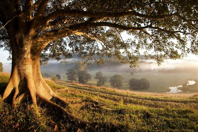 Nambucca Valley