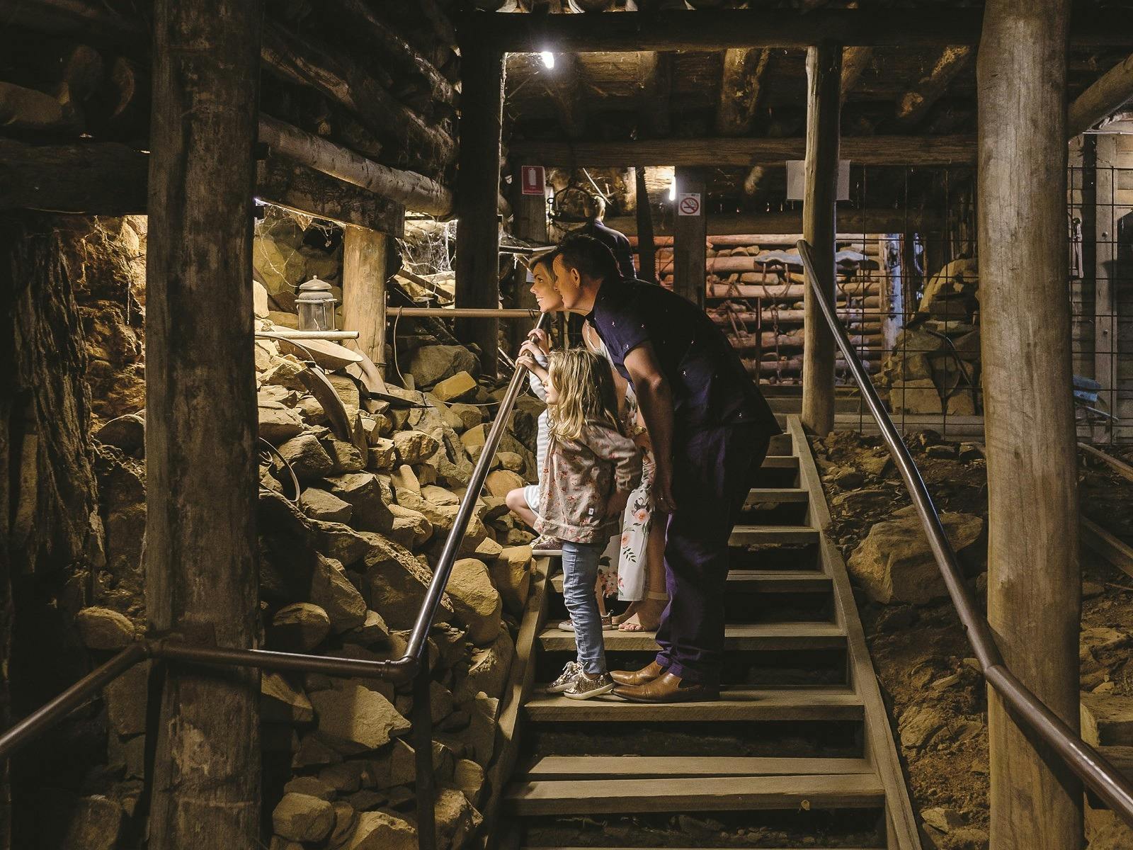 Photo of Mount Misery Gold Mine Musuem
