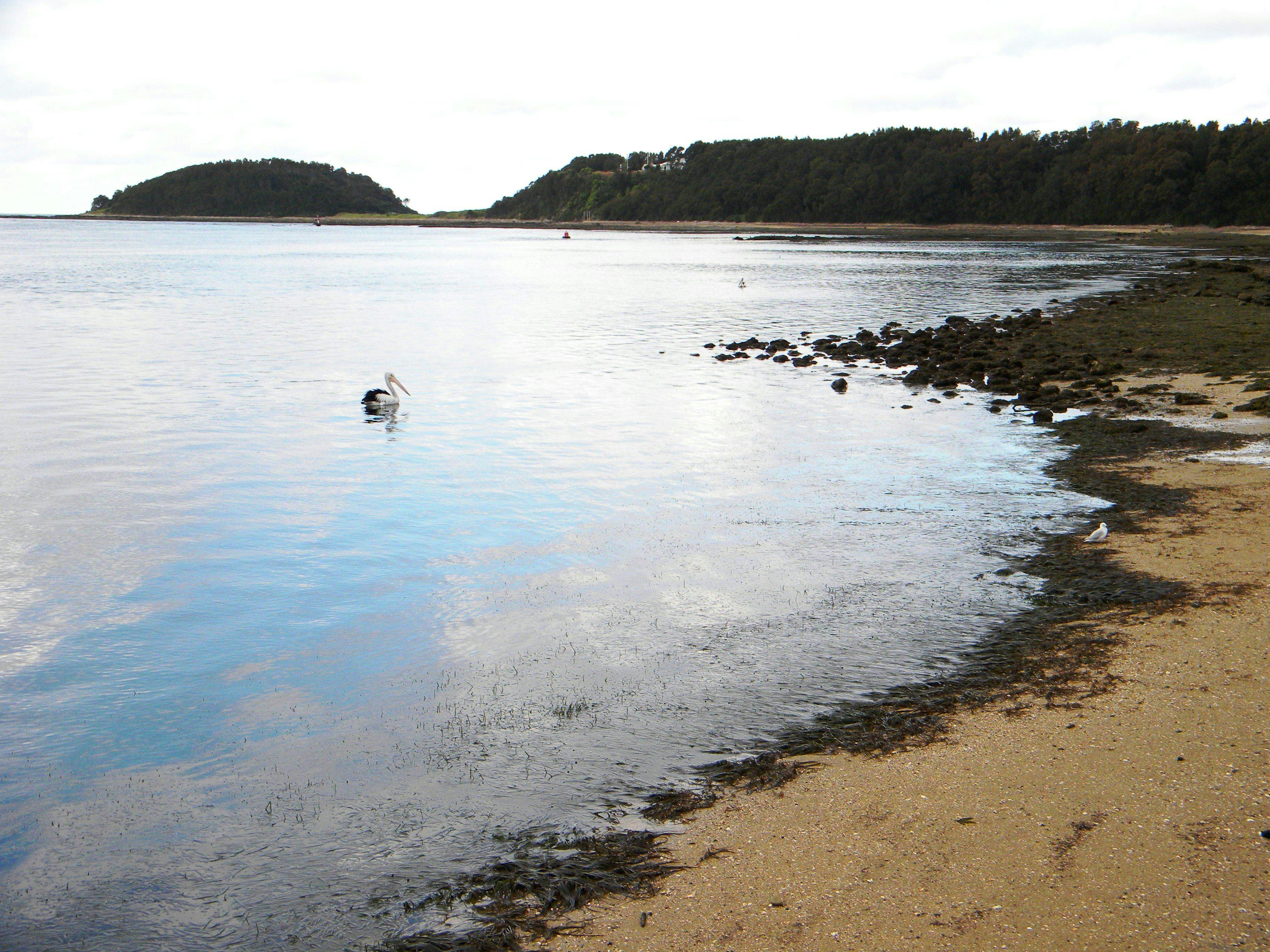 Orient Point towards Crookhaven Heads, Shoalhaven, NSW