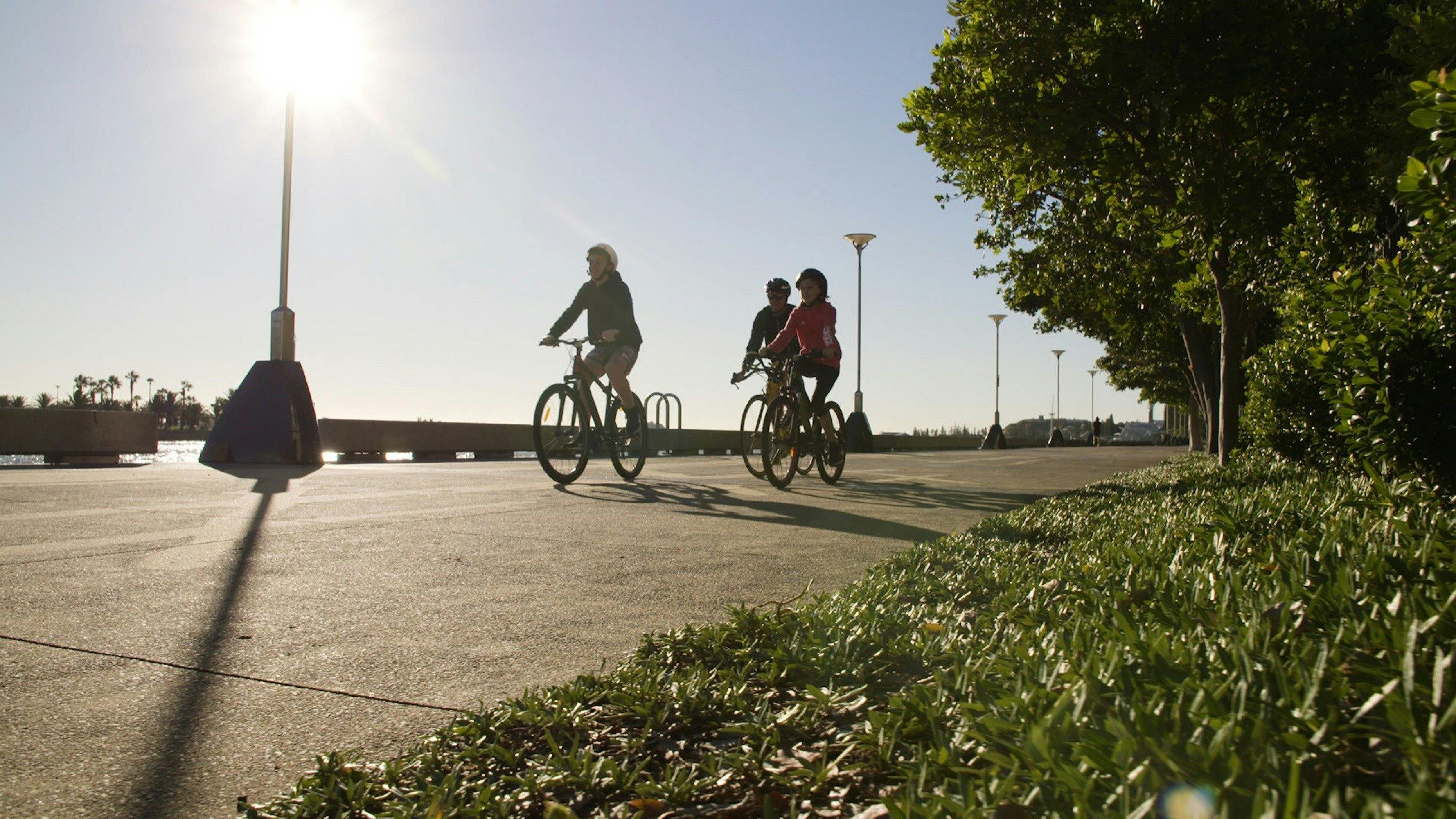Cycling in Honeysuckle