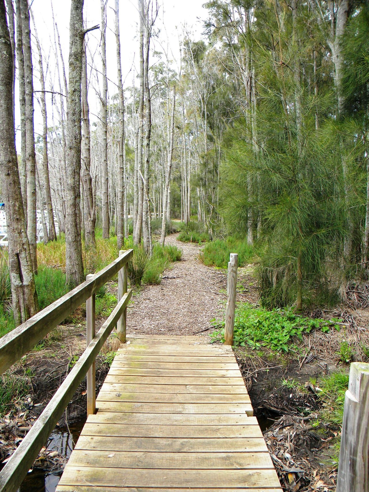 CHarming walks await at King's Point.