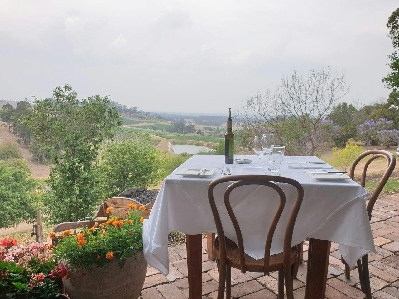 Dining with a view