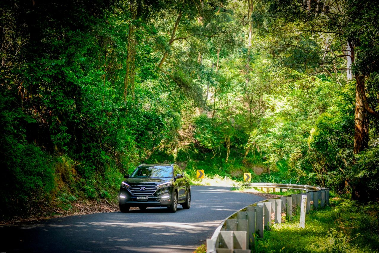 Kangaroo Valley