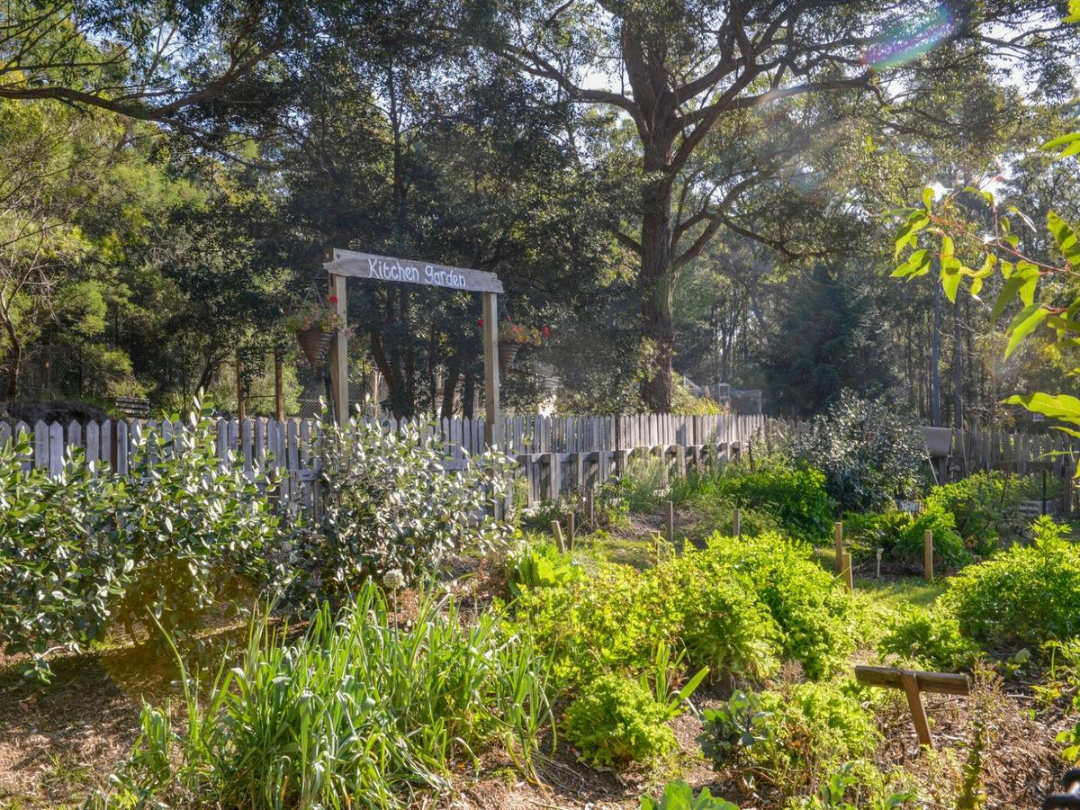 Mimosa Eco Retreat