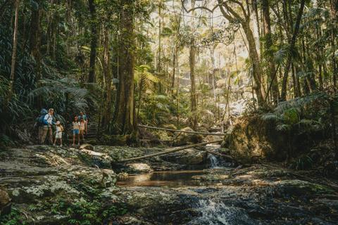 Terania Creek