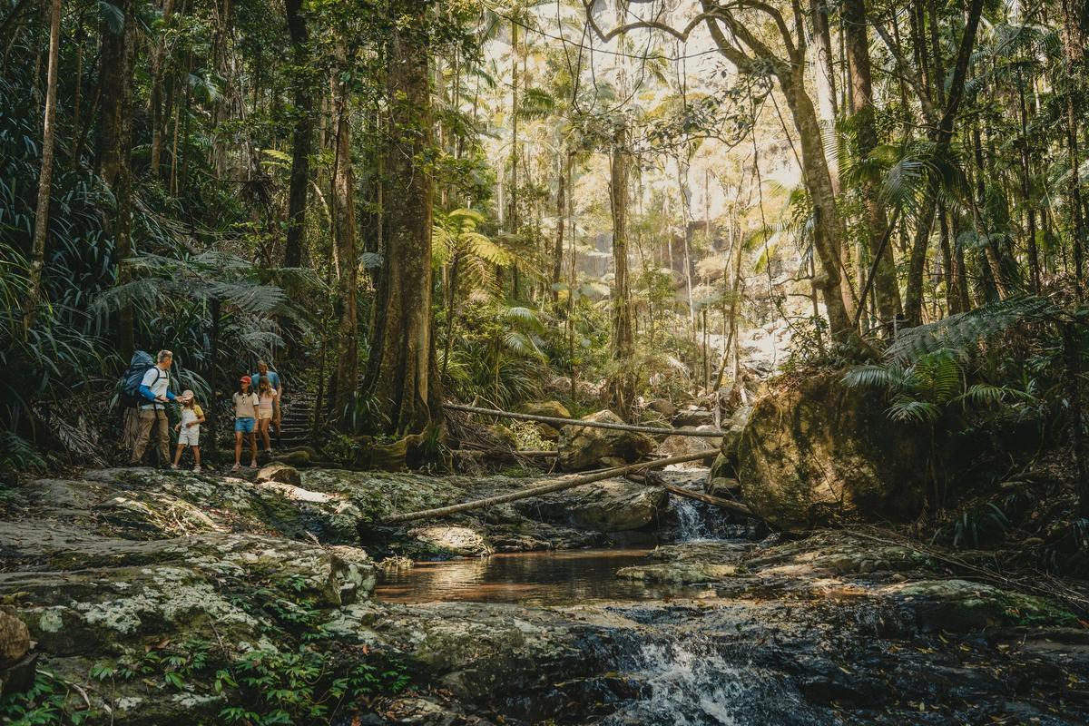 Terania Creek