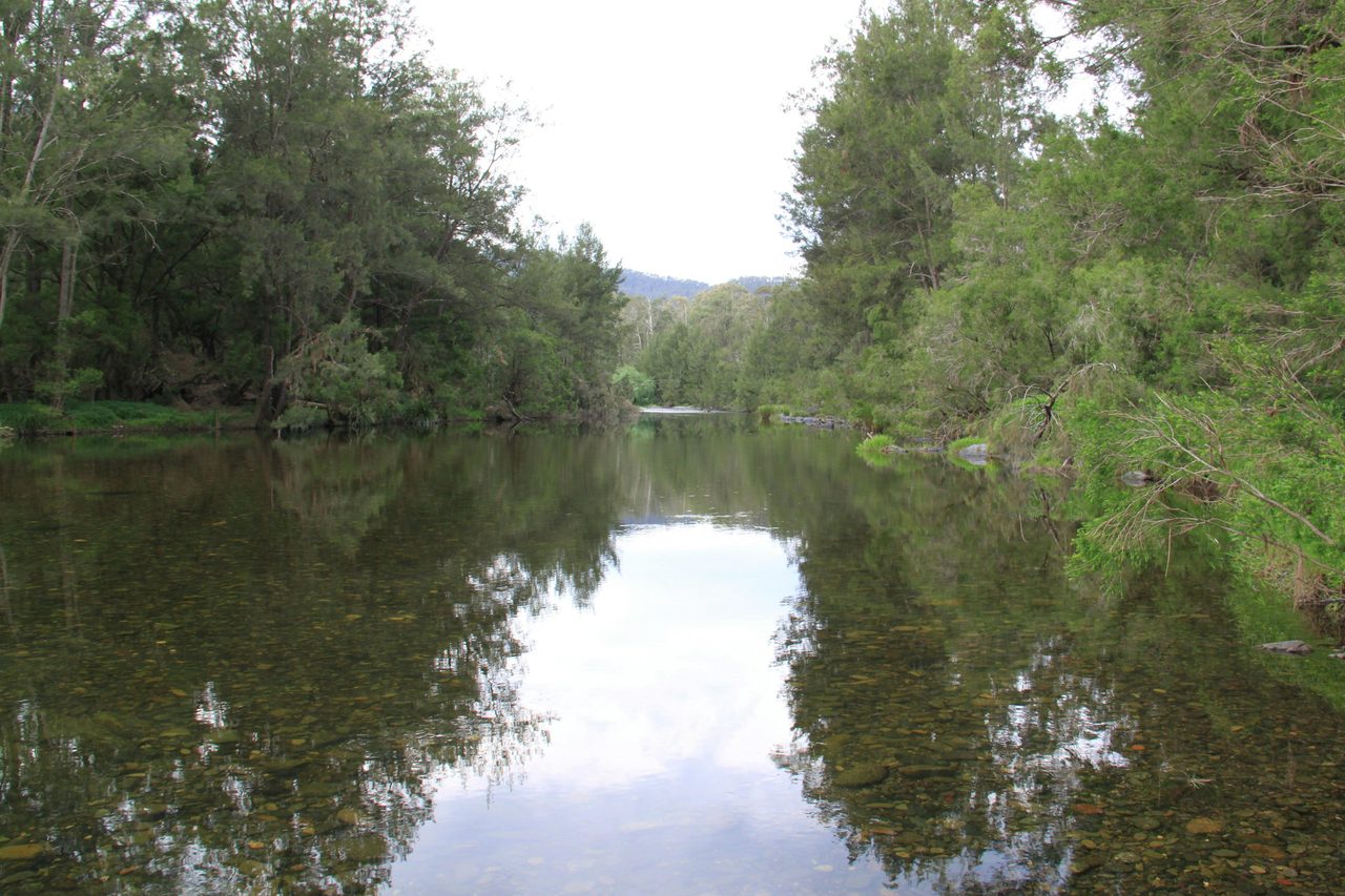 Riverside, Oxley Wild Rivers NP