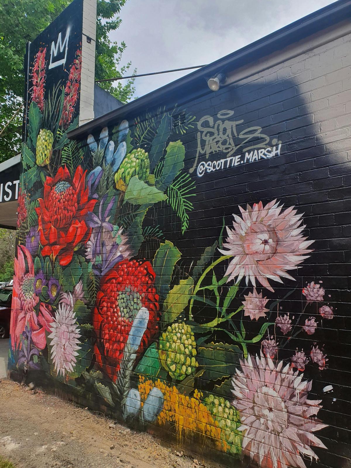 Paint the Town Mural showcasing native flora by Scott Marsh